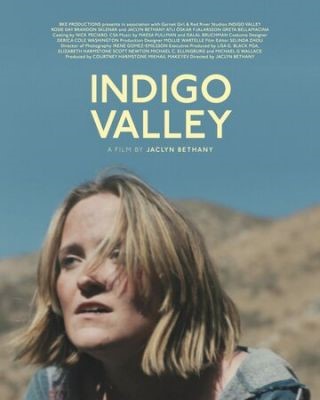 Долина индиго (2020) Фильм скачать торрент