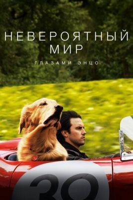 Невероятный мир глазами Энцо (2019) Фильм скачать торрент