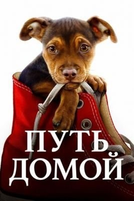 Путь домой (2019) Фильм скачать торрент