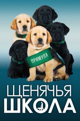 Щенячья школа (2018) Фильм скачать торрент